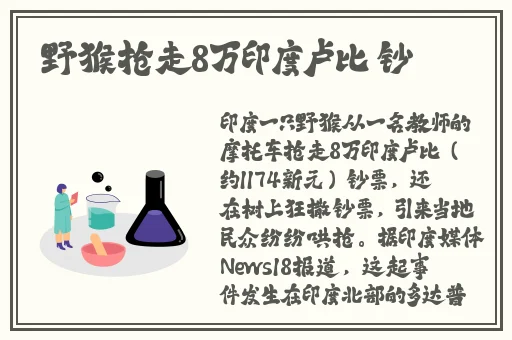 大菠萝福建导航隐藏入口